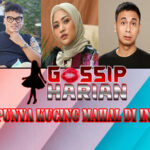 5 Artis Punya Kucing Mahal Di Indonesia